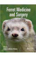 Ferret Medicine and Surgery