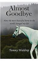 Almost Goodbye: How the Most Beautiful Horse in the World Changed my Life