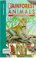 Rain Forest Animals (Discovery)