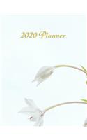 2020 Planner: Cute Flower Organiser from January to December With monthly calendar section and weekly schedule / To do List