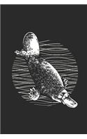 Platypus Drawing: Platypuses Notebook, Graph Paper (6 x 9 - 120 pages) Animal Themed Notebook for Daily Journal, Diary, and Gift