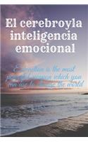 El cerebro y la inteligencia emocional