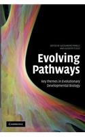 Evolving Pathways
