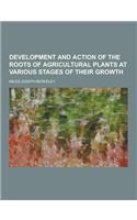 Development and Action of the Roots of Agricultural Plants at Various Stages of Their Growth