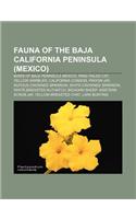 Fauna of the Baja California Peninsula (Mexico): Birds of Baja Peninsula Mexico, Ring-Tailed Cat, Yellow Warbler, California Condor, Pinyon Jay