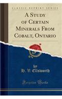 A Study of Certain Minerals from Cobalt, Ontario (Classic Reprint)