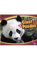 Giant Pandas: (Asian Animals)