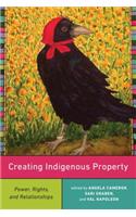 Creating Indigenous Property