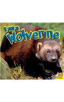 I Am a Wolverine