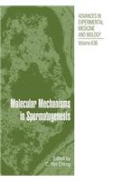 Molecular Mechanisms in Spermatogenesis