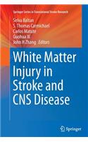 White Matter Injury in Stroke and CNS Disease