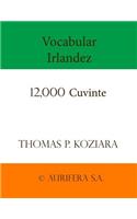 Vocabular Irlandez