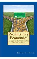 Productivity Economics