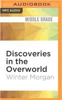 Discoveries in the Overworld