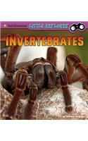 Invertebrates: A 4D Book
