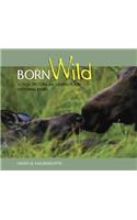 Born Wild in Yellowstone and Grand Teton National Parks