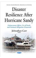 Disaster Resilience after Hurricane Sandy