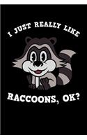 I Just Really Like Raccoons Ok
