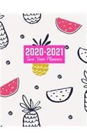 2020-2021 Two Year Planner: Neat 24-Months Calendar, 2-Year Appointment Business Planners, Agenda Schedule Organizer Logbook and Journal - Art Cover 00023187