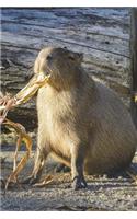 Feeding Time for the Capybara Journal: 150 page lined notebook/diary