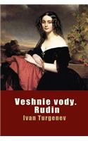 Veshnie Vody. Rudin