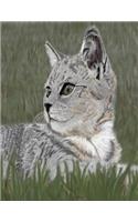 Kitten Notebook: 8.5 X 11 202 College Ruled Pages