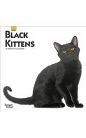 Black Kittens 2021 Mini 7x7