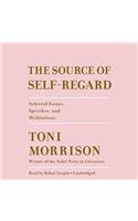 The Source of Self-Regard: Selected Essays, Speeches, and Meditations