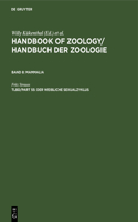 Der Weibliche Sexualzyklus