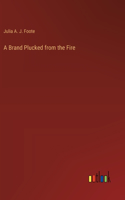 Brand Plucked from the Fire