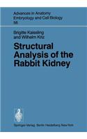 Structural Analysis of the Rabbit Kidney