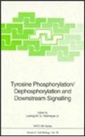 Tyrosine Phosphorylation/Dephosphorylation and Downstream Signalling