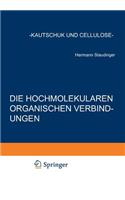 Die Hochmolekularen Organischen Verbindungen