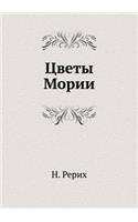 Цветы Мории