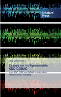 Essays on multiparametric KDD-COBAC