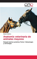 Anatomía veterinaria de animales mayores