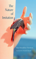 Nature of Imitation