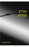 Exploited Survivors (Hebrew)