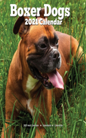 Boxer Dogs 2021 Wall Calendar