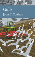 Gulls: Book 139 (Collins New Naturalist Library)