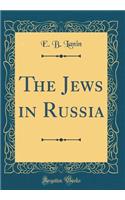 The Jews in Russia (Classic Reprint)