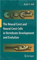 Neural Crest and Neural Crest Cells in Vertebrate Development and Evolution