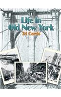 Life in Old New York