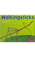 Walkingsticks