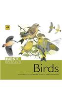 AA Best of Britain's Birds: Beautifully Illustrated Guide to Over 250 Species(AA Best of Britain's S.)