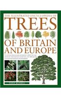 Illustrated Encyclopedia of Trees of Britain and Europe