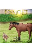 Scratches