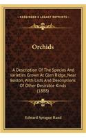 Orchids