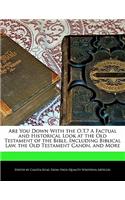 Are You Down with the O.T.? a Factual and Historical Look at the Old Testament of the Bible, Including Biblical Law, the Old Testament Canon, and More: (English)