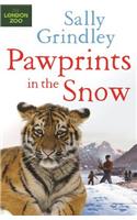 Paw Prints in the Snow